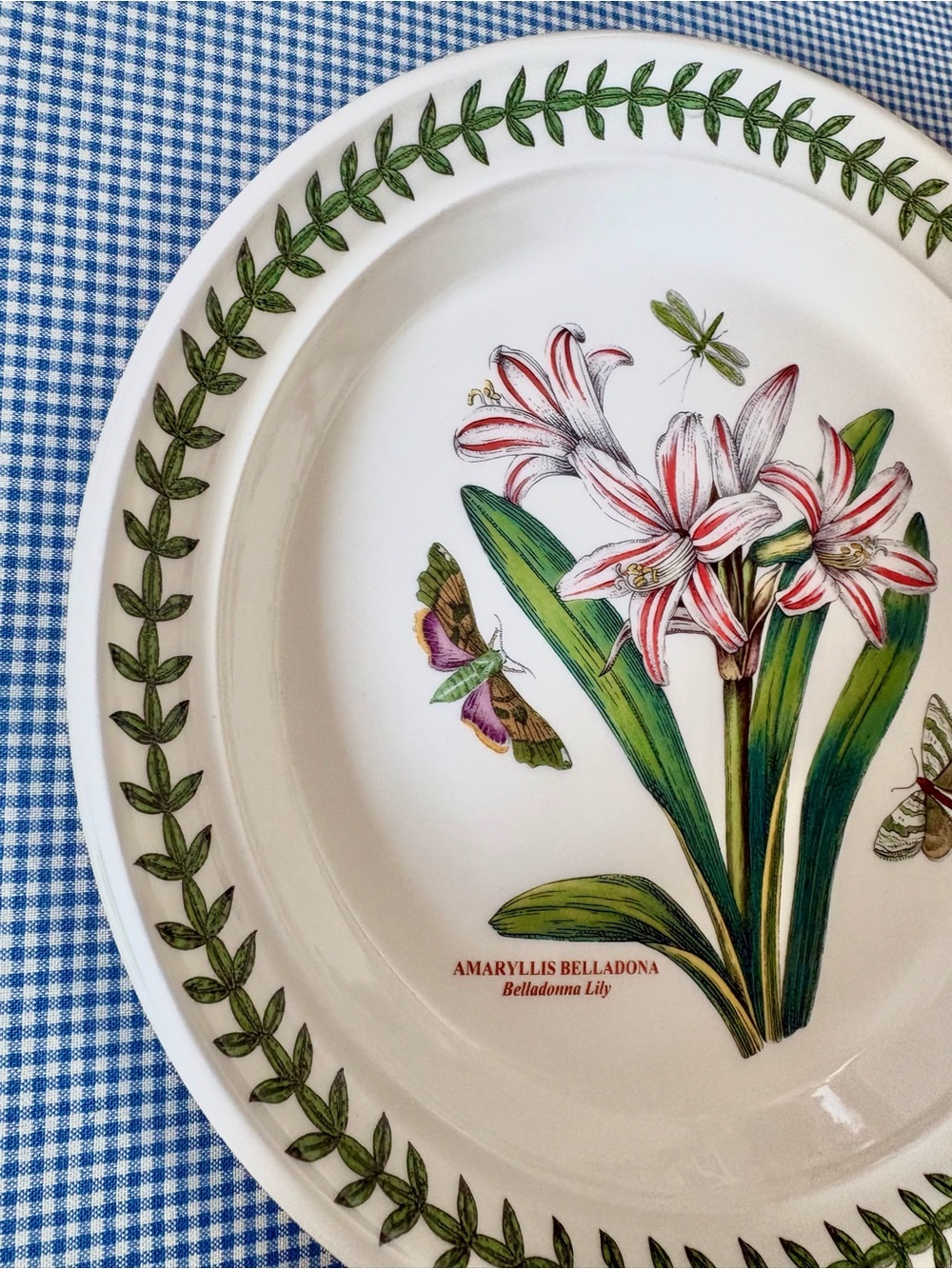 Portmeirion Botanic Garden Amaryllis   salad Plate  NEW never used! - Picture 7 of 7